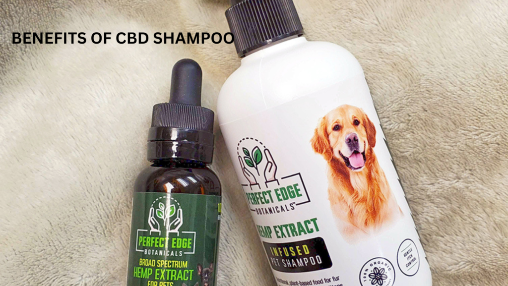 Hemp Pet CBD Oil Shampoo 4