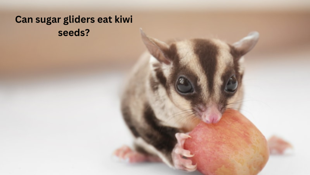 <strong>Is Sun gold Kiwi Safe For Sugar Gliders?</strong> 4