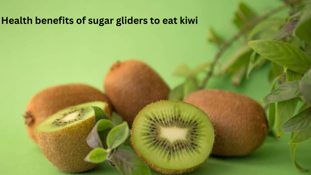 <strong>Is Sun gold Kiwi Safe For Sugar Gliders?</strong> 5