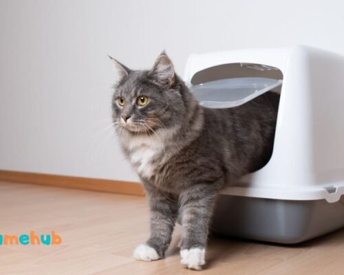 Catit Jumbo Hooded Cat Litter Box