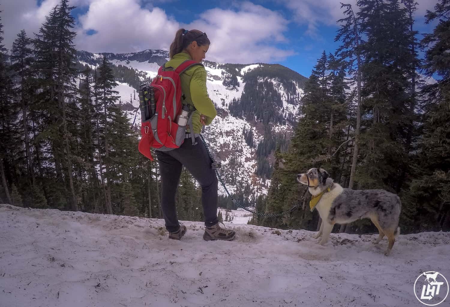 Jen und ihr Hund Sora wandern auf den tierfreundlichen Annette Lake Snow Fields in der Nähe von Seattle, WA