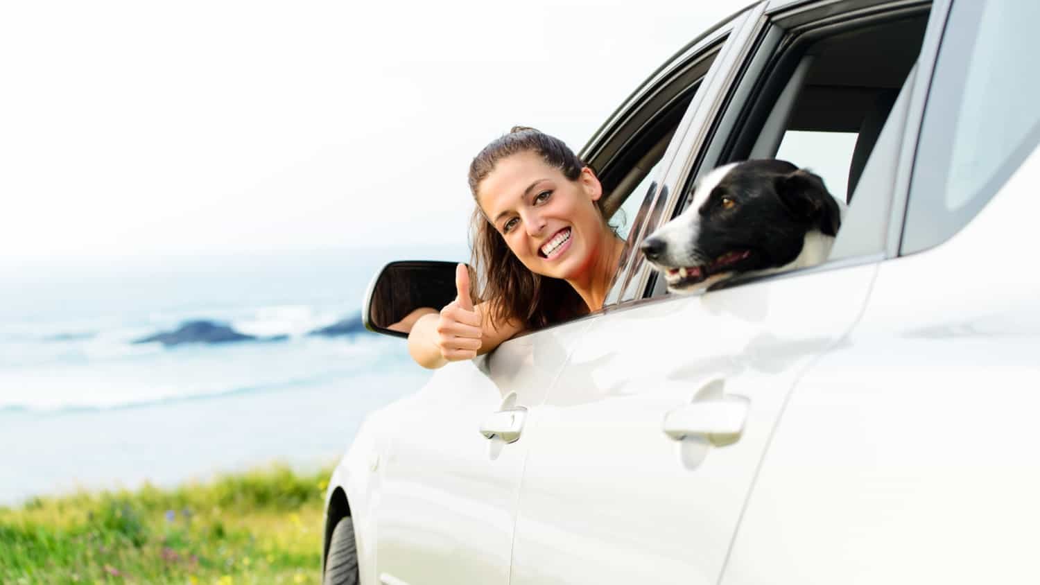 Happy woman traveling in car with dog.  Coastal landscape background.