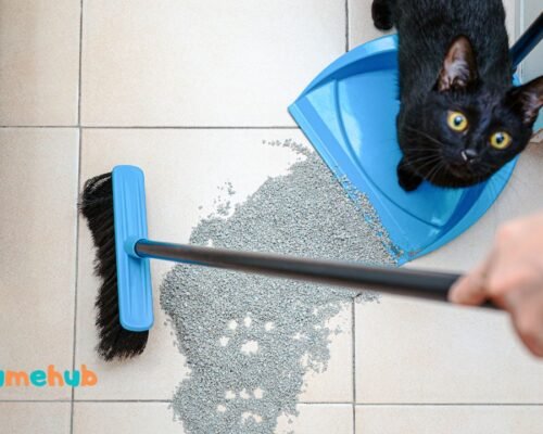 IRIS Top Entry Cat Litter Box with Scoop Review