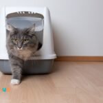 Omega Paw Self-Cleaning Litter Box Review