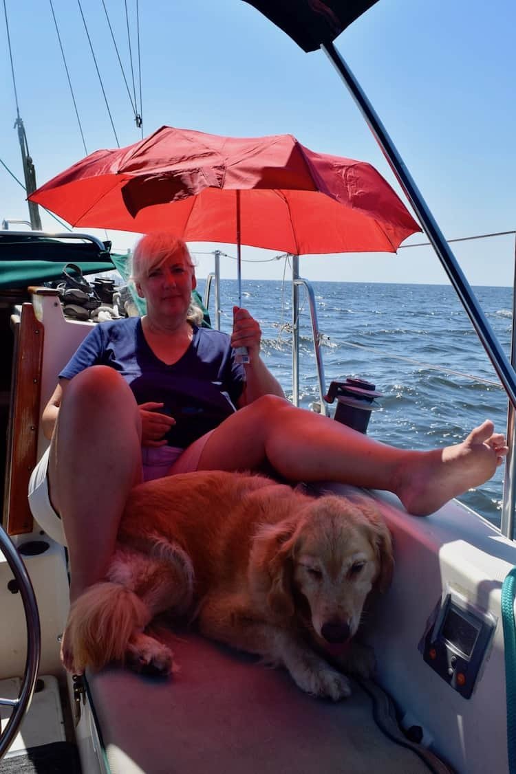 Do you take your dog on a boat?  First ask these 5 questions |  GoPetFriendly.com