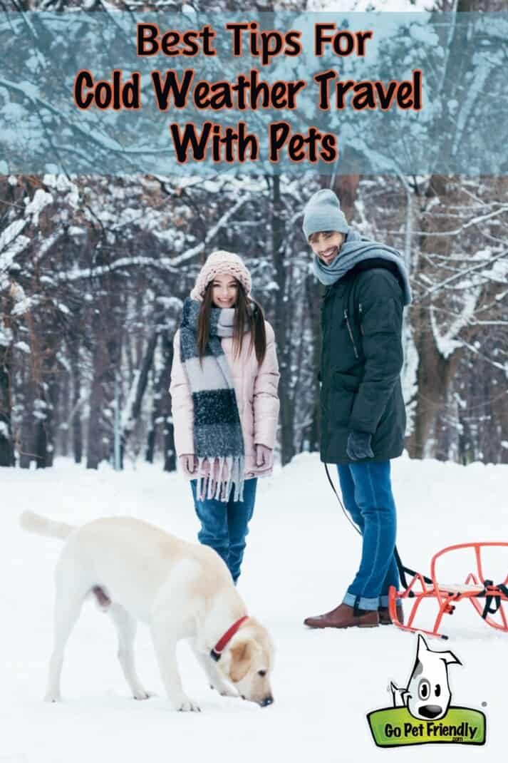 Cold Weather Tips For Travel With Pets 4