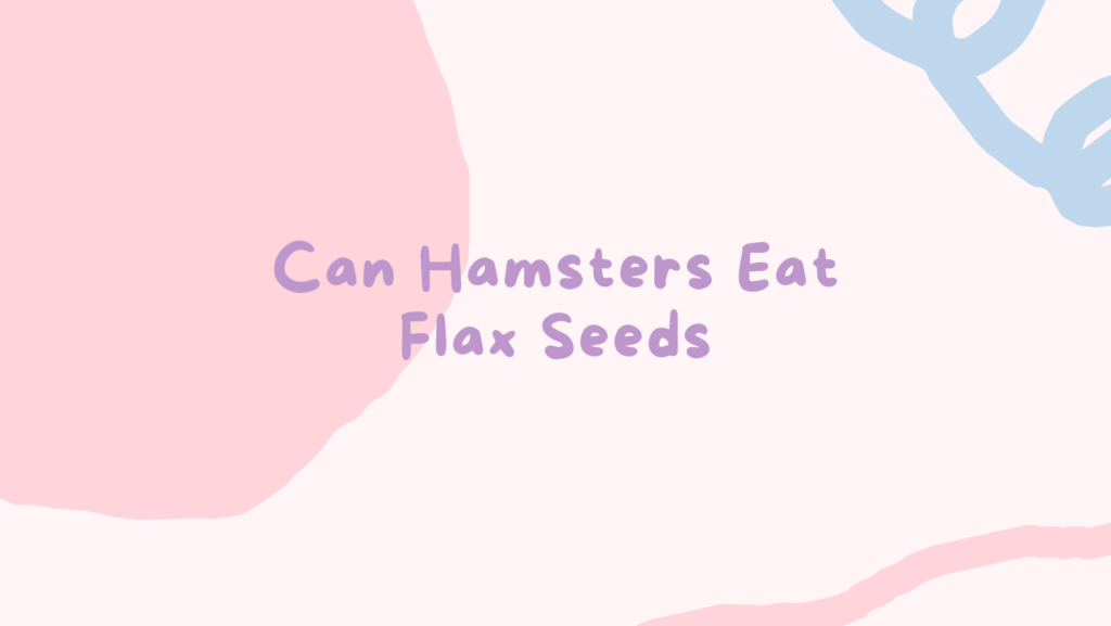 Can Hamsters Eat Flax Seeds? 1