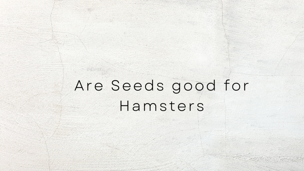 Can Hamsters Eat Flax Seeds? 2