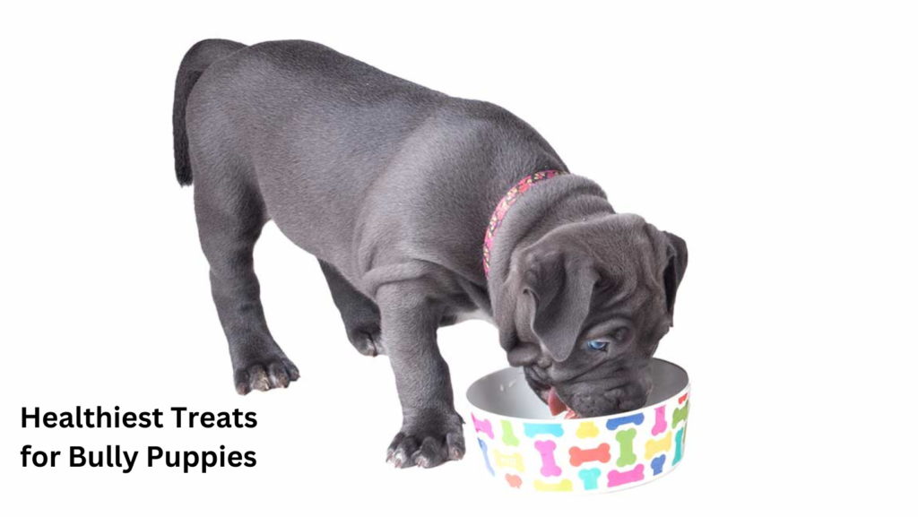 <strong>Best Food for Bully Puppies</strong> 4