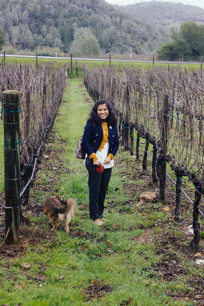 Tips for Enjoying California Wine Country with Your Dog |  GoPetFriendly.com