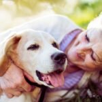 Tips For Traveling With Elderly Pets