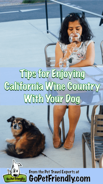 Woman drinks wine with a dog lying at her feet